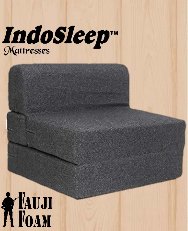 Foam Sofa Cum Bed