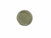 Silver Nanoparticles