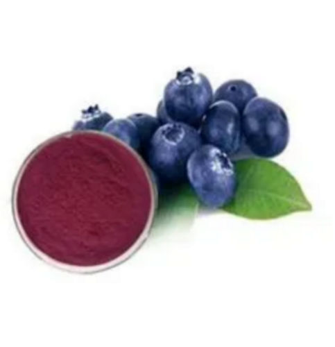 Bilberry Dry Extract