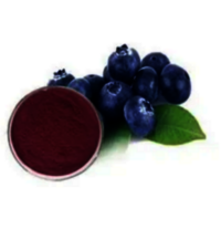Bilberry Dry Extract - Color: Dark Purple