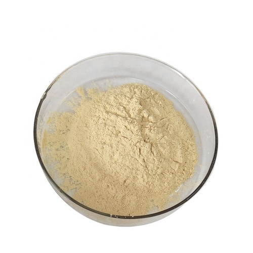 Isabgol Dry Extract