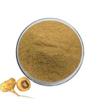 Maca Root Dry Extract - Color: Brown