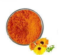 Marigold Dry Extract - Color: Orange