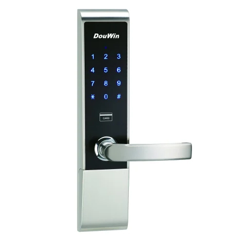 Electronic Door Pull Lock