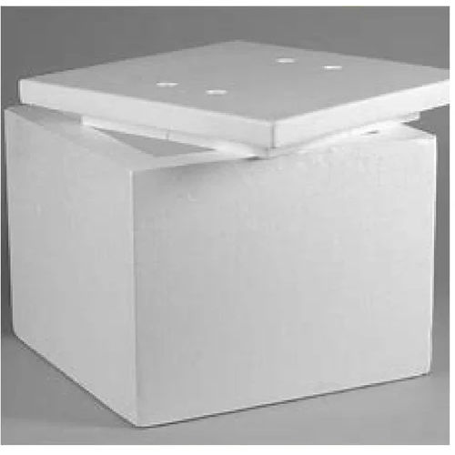 Thermocol Ice Box