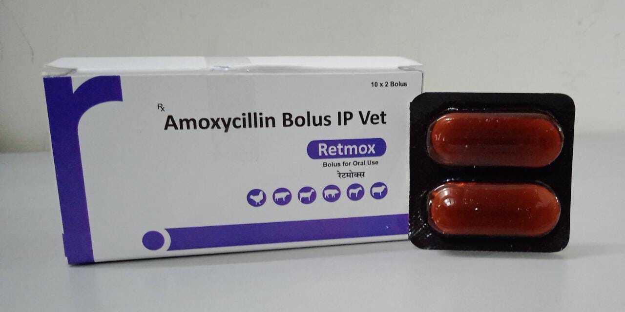 NORFLOXACIN TINIDAZOLE BOLUS VETERINARY