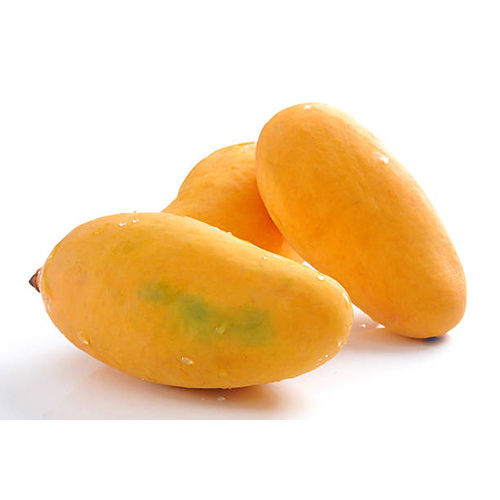 Yellow Mango Fruit