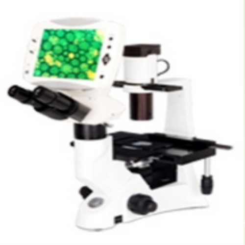 Inverted Microscope