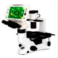 Inverted Microscope