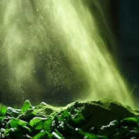 Dehydrated Spinach Powder - Organic Grade A , Vibrant Green Color, Non-gmo & Gluten-free