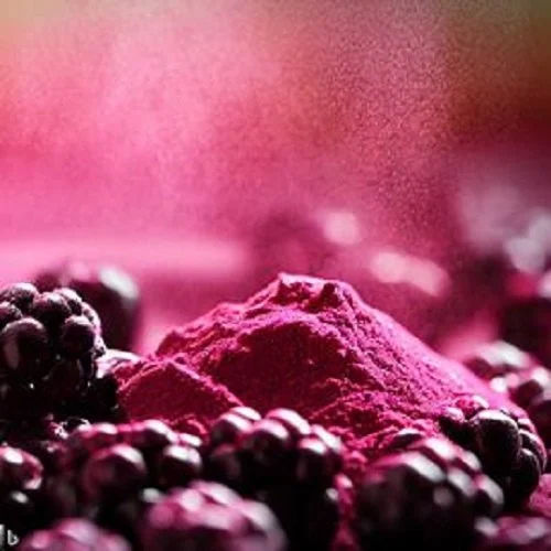 Dehydrated Blackberry Powder