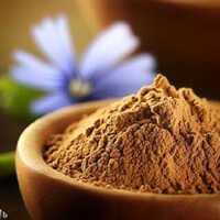 Spray Dried Chicory Powder - Premium Organic, High Appearance, Pure & Smooth Flavor | Perfect For Baking, Beverages & Coffee Substitute