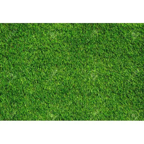 PP Artificial Lawn Grass