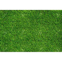 Pp Artificial Lawn Grass - 3.4mm Thick, Curly Green Polypropylene | Durable, Washable, Uv-resistant, Pet-friendly, Various Sizes Available
