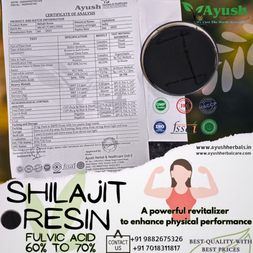 Shilajit Resin