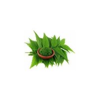 Neem Leaf Extract - Color: Green