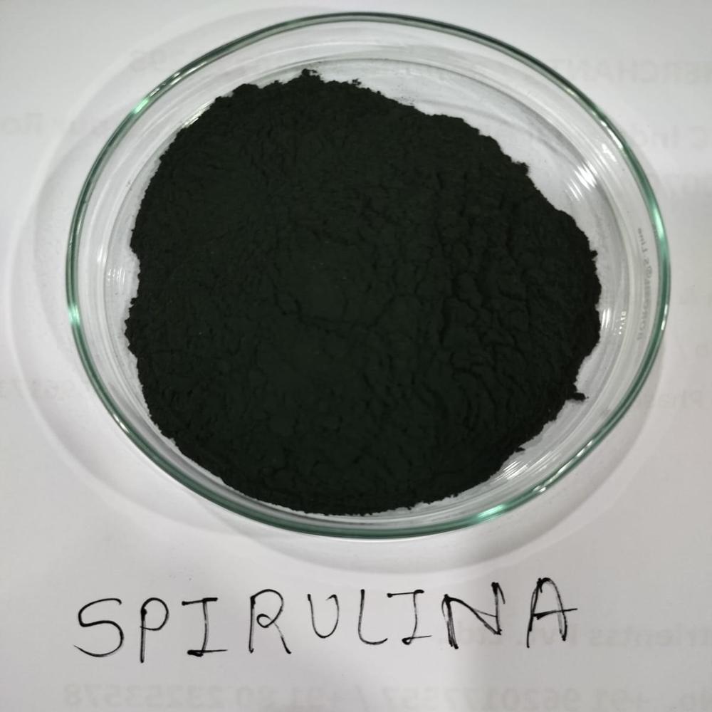 Spirulina Protein Powder - 100% Pure Green Extract | Complete Amino Acid Profile, Energy Boosting, Immune Support, Easy Digestibility