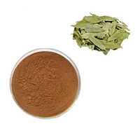 Senna Extract Powder - Color: Brown