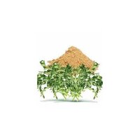 Centella Asiatica Dry Extract - Color: Brown