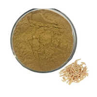 Shatavari Extract Powder - 100% Pure, Brown Powder | Supports Reproductive Health & Balances Pitta, Replenishes Body Fluids