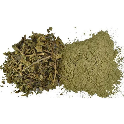 Gymnema Sylvestre Extract Powder