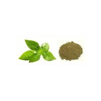 Tulsi Extract Powder - 100% Organic, Green Powder | Supports Diuretic, Immuno-Modulatory, and Respiratory Health