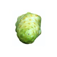 Noni Fruit Extract Powder