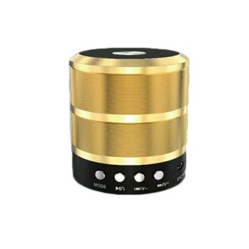 MZ WS-887 Portable Bluetooth Speaker