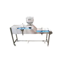 Rib-1 Tablet Inspection Station - Color: Silver