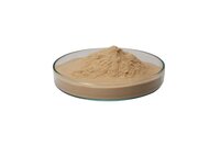 Industrial Textile Enzymes