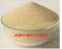 Industrial Textile Enzymes
