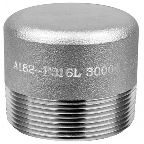 Stainless Steel A182 F316L Head Plug Application: Construction