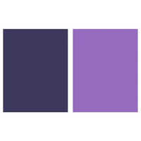 2944 Pv23 Sudaperm Violet Pigments - Color: Purple