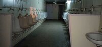 Industrial Container Toilets