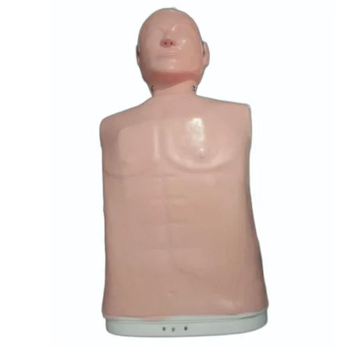 CPR Training Manikins