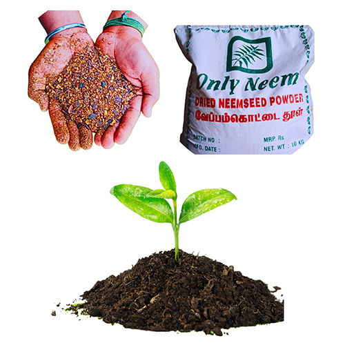 Neem Seed Powder Application: Plant Growth