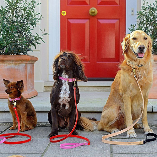 Leather Dog Leashes - Customized Sizes, Multiple Colors | High Quality, Stylish Design with No Jagged Edges