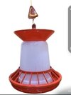 Chick feeder with Grill & cone