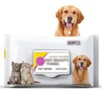 Natural Soft Pet Wipes Gentle Cleaning Wipes for Dogs and Cats OEM Wholesale