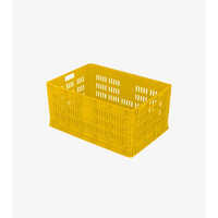 SSP 654531 650X450 Plastic Jumbo Crate