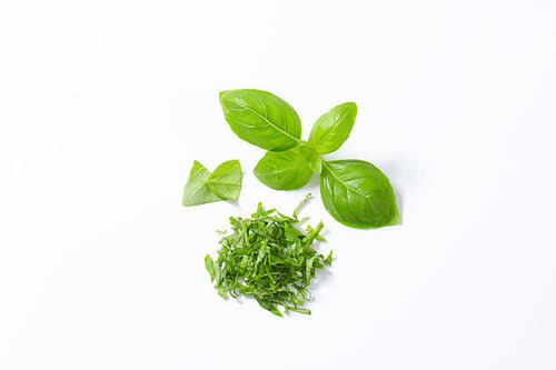 Basil Cut