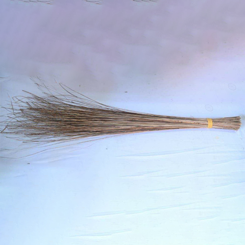 550 Gm Coco Tamil Broom Application Commercial & Household at Best