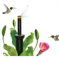 Landscape Irrigation System