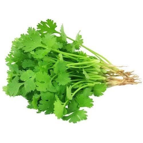 coriander leaves