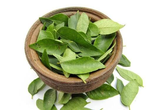 curry leaves