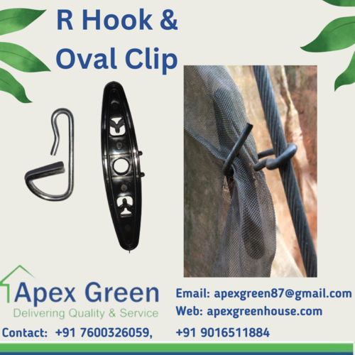 Oval Clip