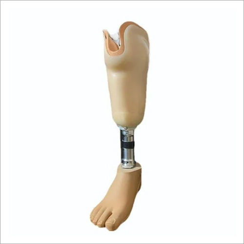 Knee Prosthesis