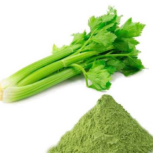 celery powder