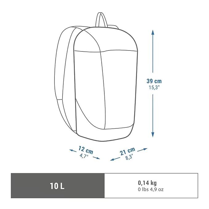PRESIDENT Casual Backpack Small