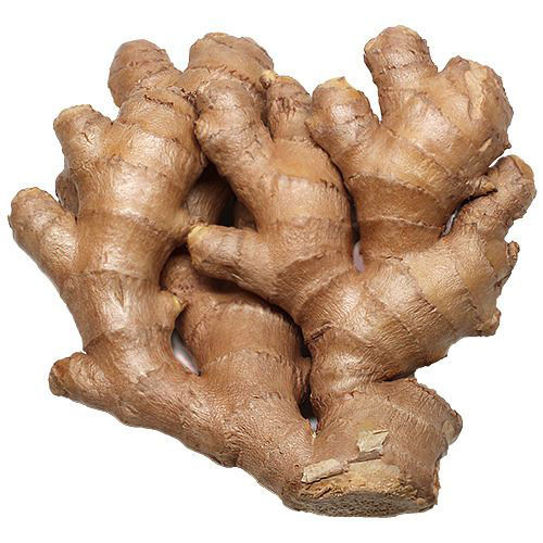 Fresh Ginger Moisture (%): Nil